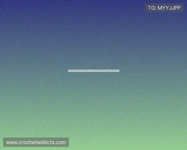 星光娱乐报道世界杯精彩瞬间，明星嘉宾现场助阵带来视觉盛宴与互动体验